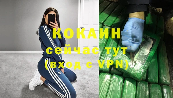 дмт Пестово