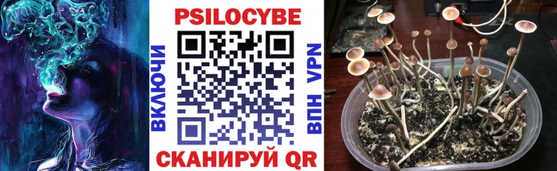 Галлюциногенные грибы ЛСД  Яхрома 